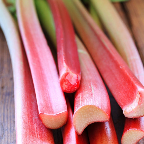 Rhubarb